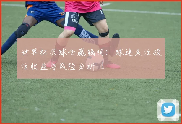 世界杯买球会赢钱吗：球迷关注投注收益与风险分析_1